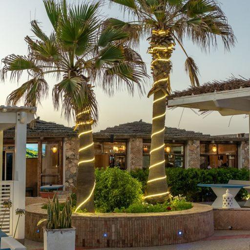 Mimid Dunes Beach Hotel Mirleft Eksteriør billede